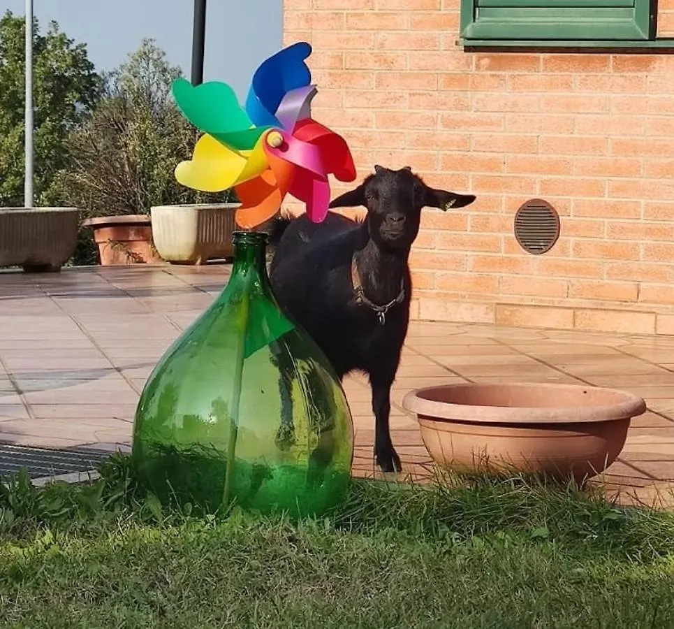 La Tavernetta Torriana 0*,  إيطاليا